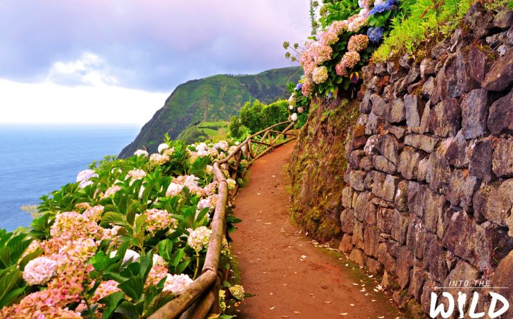 O que visitar no Nordeste (São Miguel, Açores) - Into The Wild Azores Tours