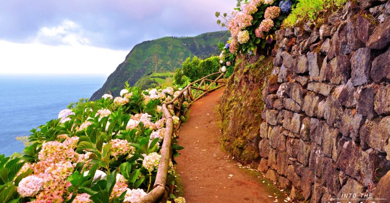 What to visit in Nordeste (São Miguel Island, Azores) - Into The Wild Azores Tours