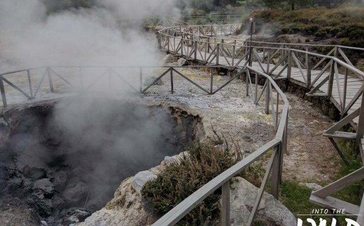 Furnas: what they are, benefits and places in São Miguel - Into The Wild Azores Tours